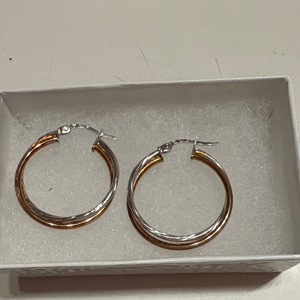 Elegant Gold and Silver Hoop Earrings